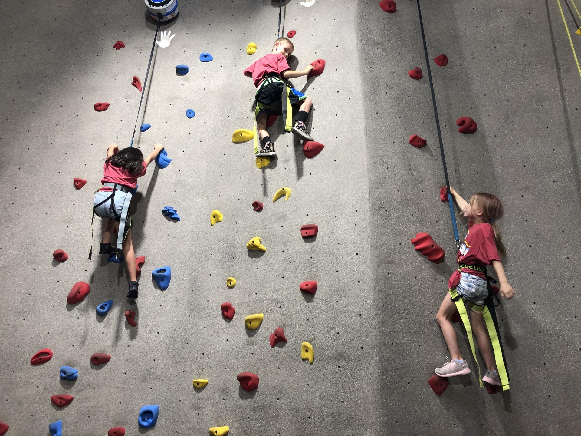 pic_camp_climbing_wall